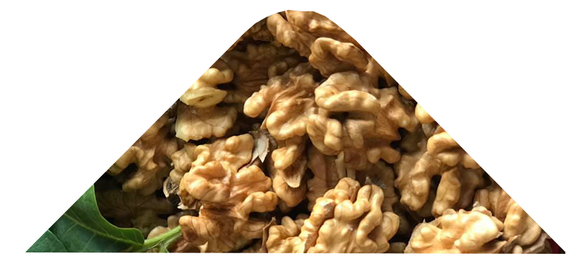 nedenbizimg-2-1 kopya nedenbizimg-2-1 kopya