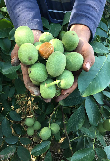 hakkımızda-sag2 hakkımızda-sag2